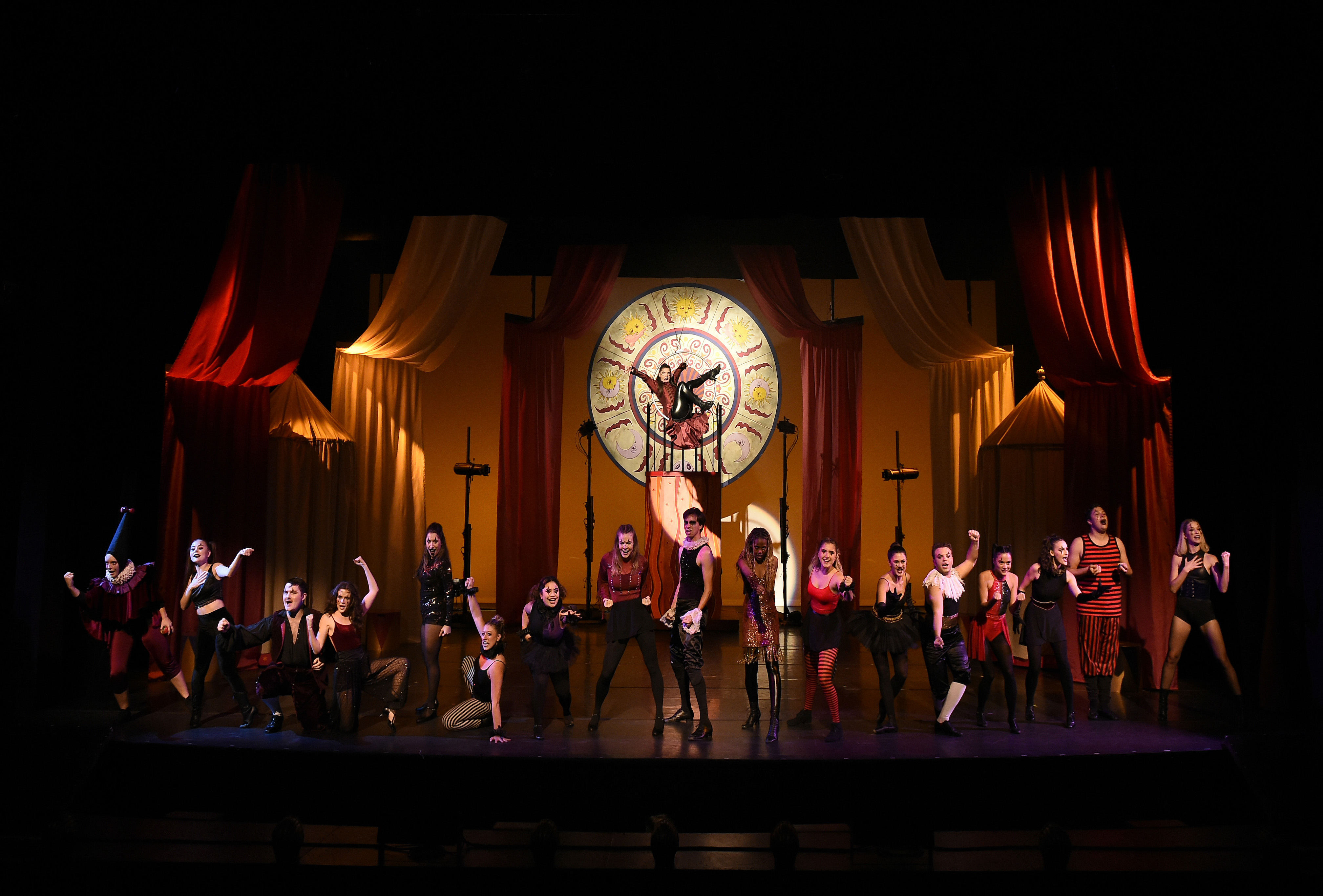 PIPPIN